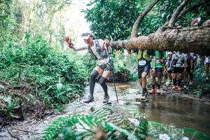 BIB: 
                            <button type="button" onclick="openModal(25468588)" class="btn btn-primary btn-sm float-right btn-popup" data-toggle="modal" data-target=".modal-high-quality">
                        <i class="fas fa-shopping-cart"></i> Add to Cart
                    </button>
                                            <button type="button" onclick="isThisMe(25468588, true)" class="btn btn-success btn-sm float-right btn-popup btn-isme hidden" data-toggle="tooltip" data-placement="bottom" title="นี่คือรูปของคุณใช่ไหม คลิกที่นี่เพื่อเอาเข้าอัลบั้ม">
                        <i class="fas fa-plus"></i> Add to album
                    </button>
                    <button type="button" onclick="isThisMe(25468588, false)" class="btn btn-warning btn-sm float-right btn-popup btn-isnotme hidden">
                        <i class="fas fa-ban"></i> Remove from album
                    </button>